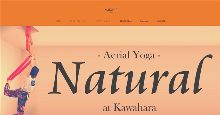 Aerial Yoga Naturalの公式サイト